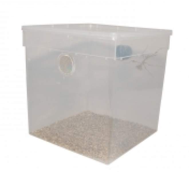 Preview: Mantis-Box
